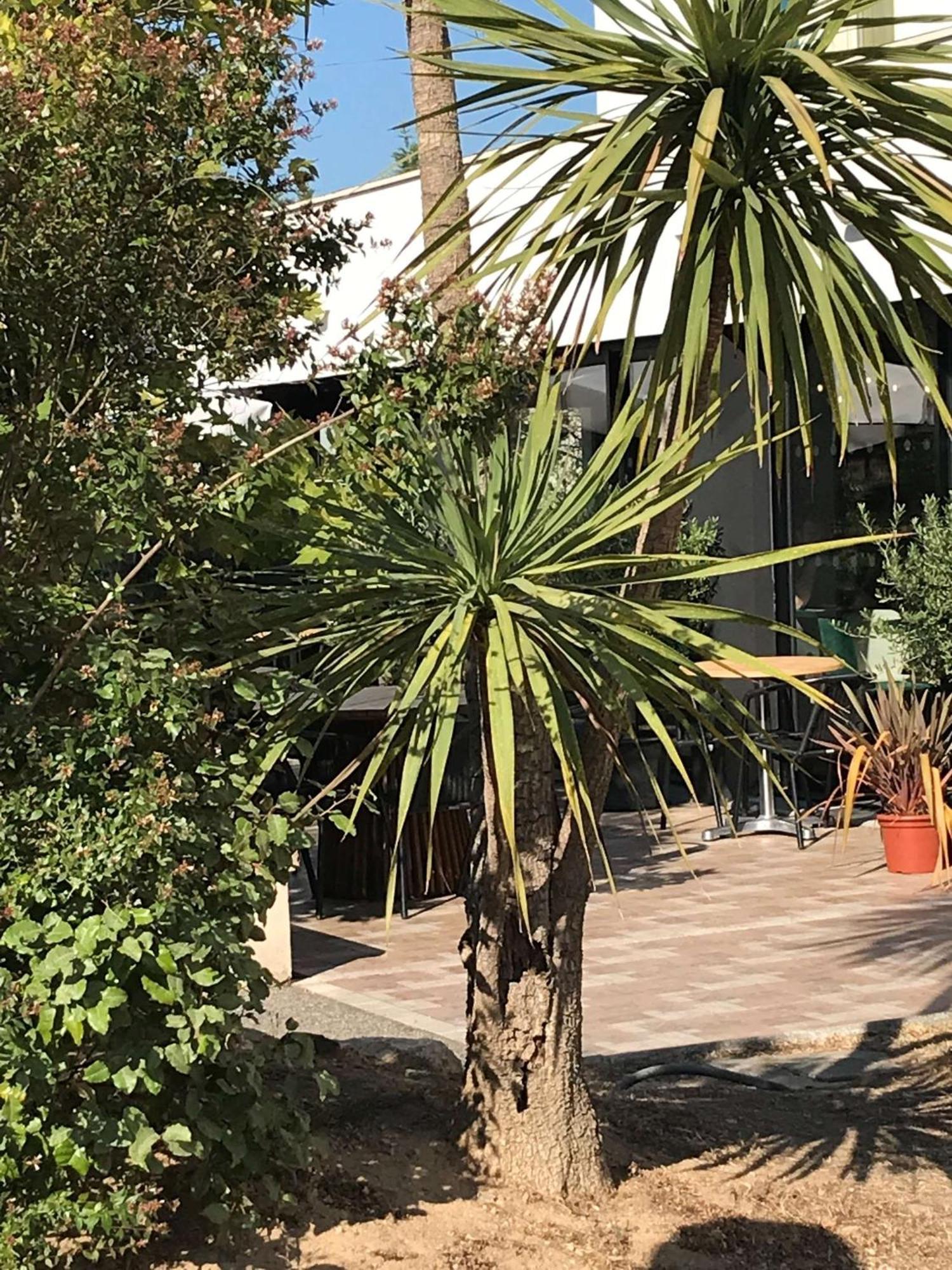 Brit Hotel Marseille Aéroport - A&S Mirabeau Kültér fotó